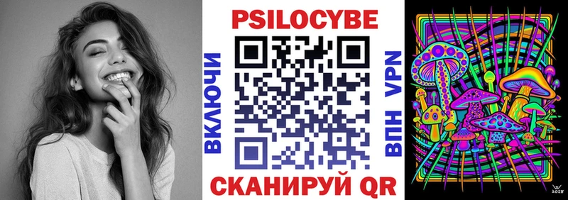 Купить где  Раменское  Галлюциногенные грибы MAGIC MUSHROOMS